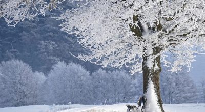茶啊二中冬季校园雪景，操场上学生们踩着积雪追逐打闹，远处是东北典型的红砖教学楼，天空蓝得纯粹而辽阔