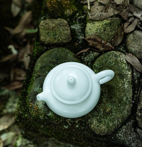 茶啊二中角色关系图谱贴在白色墙面上，用细线把人物连成一棵树，旁边贴着几张标注了修订日期的小纸条